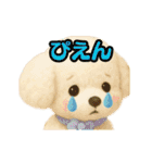 ふわふわトイプードルのアニメスタンプ（個別スタンプ：24）