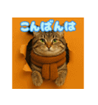 穴から飛び出す☆ニャンダフォー（個別スタンプ：3）