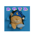 穴から飛び出す☆ニャンダフォー（個別スタンプ：4）