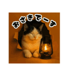 穴から飛び出す☆ニャンダフォー（個別スタンプ：6）