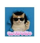 穴から飛び出す☆ニャンダフォー（個別スタンプ：7）