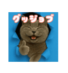 穴から飛び出す☆ニャンダフォー（個別スタンプ：14）