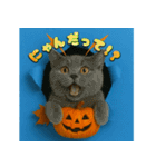 穴から飛び出す☆ニャンダフォー（個別スタンプ：16）