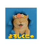 穴から飛び出す☆ニャンダフォー（個別スタンプ：17）