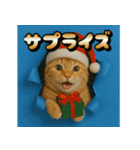 穴から飛び出す☆ニャンダフォー（個別スタンプ：21）