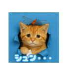 穴から飛び出す☆ニャンダフォー（個別スタンプ：22）