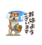 柴犬さんの動く秋スタンプ（個別スタンプ：1）
