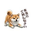 柴犬さんの動く秋スタンプ（個別スタンプ：15）