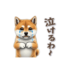 柴犬さんの動く秋スタンプ（個別スタンプ：16）