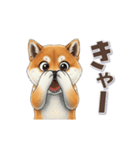 柴犬さんの動く秋スタンプ（個別スタンプ：22）