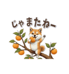 柴犬さんの動く秋スタンプ（個別スタンプ：24）