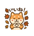 ほっこり秋犬スタンプ（個別スタンプ：25）