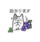ゆるねこ スタンプ 秋（個別スタンプ：10）