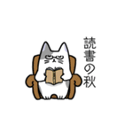 ゆるねこ スタンプ 秋（個別スタンプ：36）