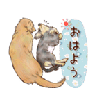 ほんのりオパールな毛並のダックスたち（個別スタンプ：1）