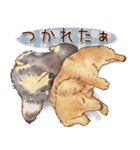 ほんのりオパールな毛並のダックスたち（個別スタンプ：2）