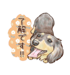 ほんのりオパールな毛並のダックスたち（個別スタンプ：5）