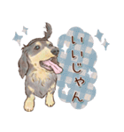 ほんのりオパールな毛並のダックスたち（個別スタンプ：6）
