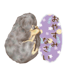 ほんのりオパールな毛並のダックスたち（個別スタンプ：8）