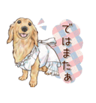 ほんのりオパールな毛並のダックスたち（個別スタンプ：11）
