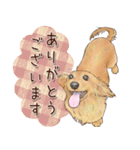 ほんのりオパールな毛並のダックスたち（個別スタンプ：12）