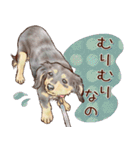 ほんのりオパールな毛並のダックスたち（個別スタンプ：13）