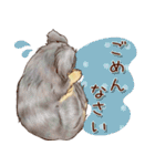 ほんのりオパールな毛並のダックスたち（個別スタンプ：14）