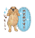 ほんのりオパールな毛並のダックスたち（個別スタンプ：18）