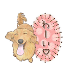 ほんのりオパールな毛並のダックスたち（個別スタンプ：19）