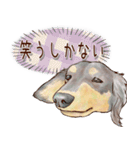 ほんのりオパールな毛並のダックスたち（個別スタンプ：28）