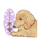 ほんのりオパールな毛並のダックスたち（個別スタンプ：29）