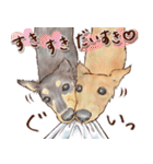 ほんのりオパールな毛並のダックスたち（個別スタンプ：33）