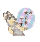 ほんのりオパールな毛並のダックスたち（個別スタンプ：35）