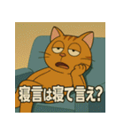 イラっ。挑発猫（個別スタンプ：13）