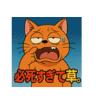 イラっ。挑発猫（個別スタンプ：26）