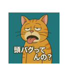 イラっ。挑発猫（個別スタンプ：33）