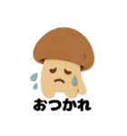きのこの愛らしいデイリー (1)（個別スタンプ：5）