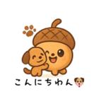 どんぐりの愛らしいデイリー (1)（個別スタンプ：2）