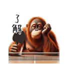 オラウータン×卓球！3Dリアル（個別スタンプ：1）