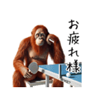 オラウータン×卓球！3Dリアル（個別スタンプ：2）