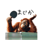 オラウータン×卓球！3Dリアル（個別スタンプ：3）