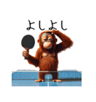 オラウータン×卓球！3Dリアル（個別スタンプ：4）