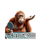 オラウータン×卓球！3Dリアル（個別スタンプ：6）