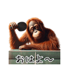 オラウータン×卓球！3Dリアル（個別スタンプ：7）