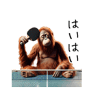 オラウータン×卓球！3Dリアル（個別スタンプ：9）