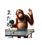 オラウータン×卓球！3Dリアル（個別スタンプ：12）