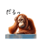 オラウータン×卓球！3Dリアル（個別スタンプ：13）
