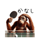 オラウータン×卓球！3Dリアル（個別スタンプ：16）
