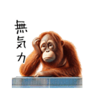 オラウータン×卓球！3Dリアル（個別スタンプ：19）