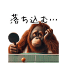 オラウータン×卓球！3Dリアル（個別スタンプ：24）